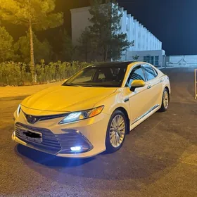Toyota Camry 2020