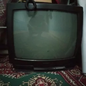 Telewizor