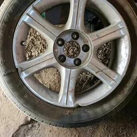 maxima disk