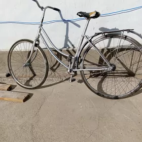 tigir 26lyk