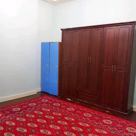 Şaýol elitka gyza komnat