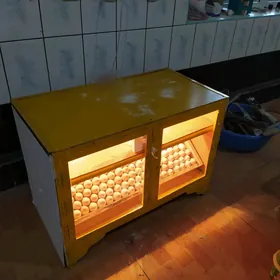 juje cykaryan inkubator 180yum
