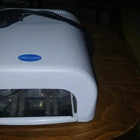 Timerlamp