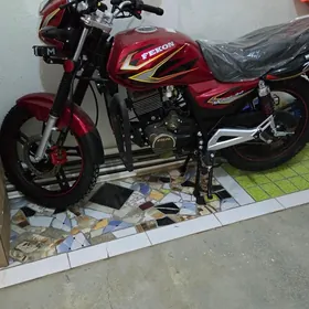 Fekon FK200-14G 2025