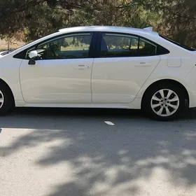 Toyota Corolla 2020