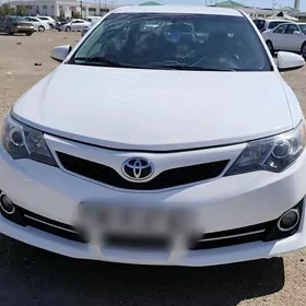 Toyota Camry 2013
