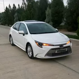 Toyota Corolla 2021