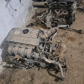 Nissan Sentra morda mator