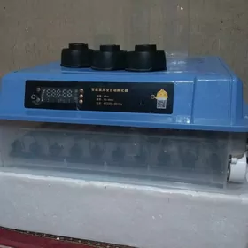inkubator 120 ştuk