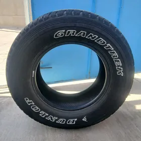 Dunlop teker