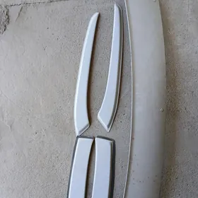 Gazel WETRAWIK