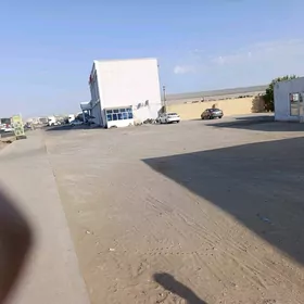 Satlyk we arenda