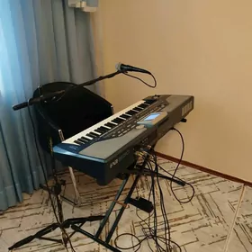 korg pa800