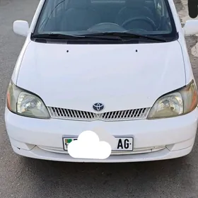 Toyota Echo 2000