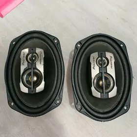Pioneer nikl 550 wat
