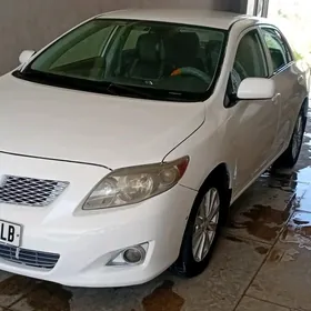 Toyota Corolla 2010