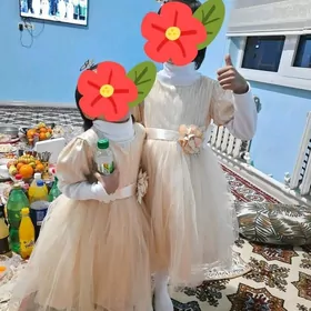 Fata koynejik