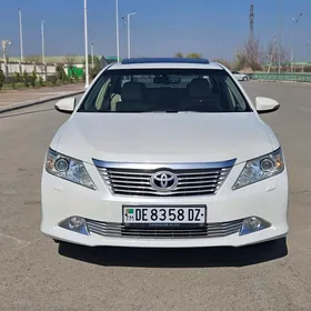 Toyota Camry 2013