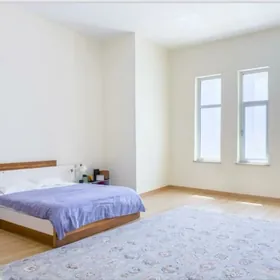 Dubleks Aşgabat Moll Şok baha