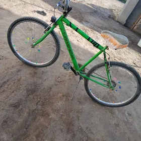 WelikWelik
