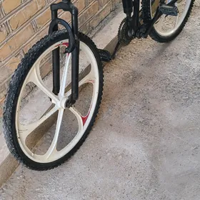 tigir  welsepet kama welik