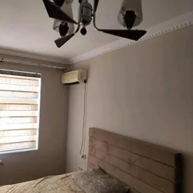Arenda jay Köşi 