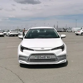 Toyota Corolla 2020