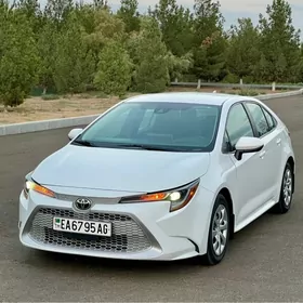 Toyota Corolla 2020