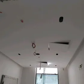 ALÇYPANÇY  USSA  GEREK