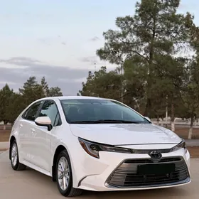 Toyota Corolla 2024