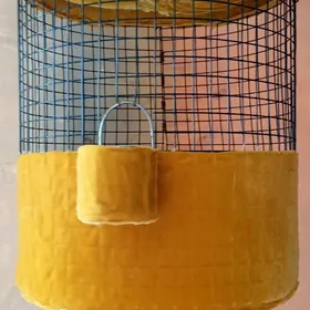 Бедене капас