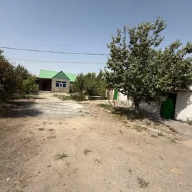 satlyk jaý kaka