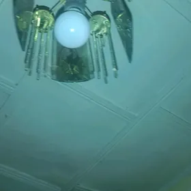 ЛЮСТРА