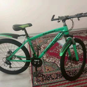 Turkmenistan tigir