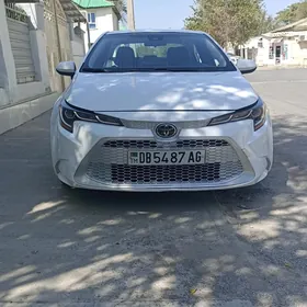 Toyota Corolla 2020