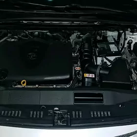 Toyota Avalon 2019