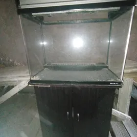 Аквариум Akwarium