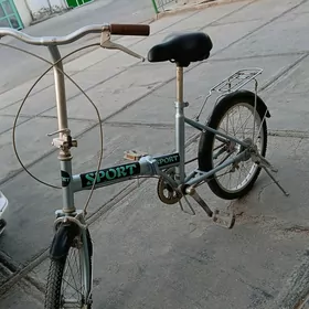 Ýaponski tigir