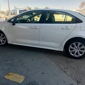 Toyota Corolla 2019