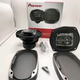 PIONNER1675 6975 V2 V3 KOLONKA
