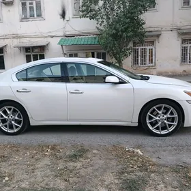 Nissan Maxima 2010