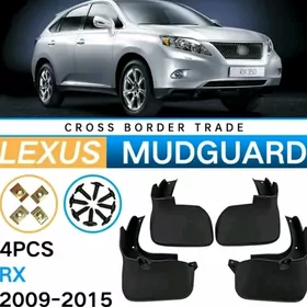 LEXUS RX BRAZGAWIK 2009 15