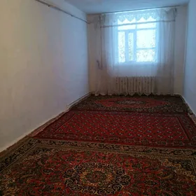 Satlyk jaylar