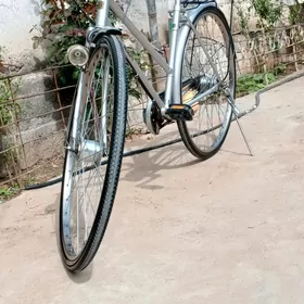 yaponka tigir