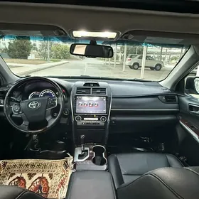 Toyota Camry 2013