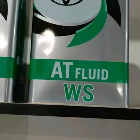 Toyota  ws