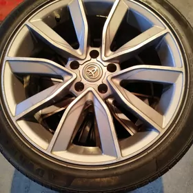 18Tayota dysga