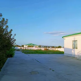 Gökdepe Şorgala