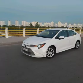 Toyota Corolla 2020