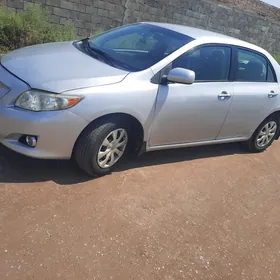 Toyota Corolla 2010